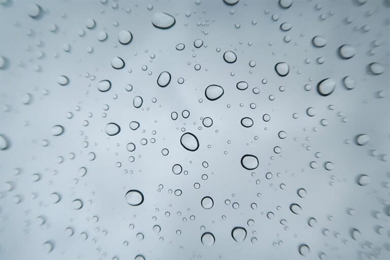 ২০২৬-২৭ অর্থবছরের বাজেট ঘোষণা করা হয়েছে ১০